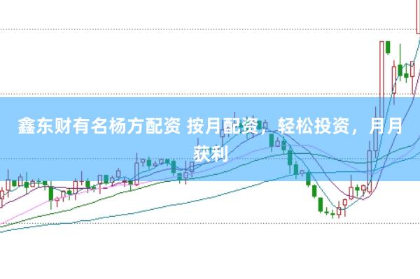 鑫东财有名杨方配资 按月配资，轻松投资，月月获利