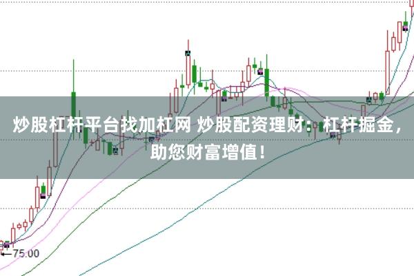 炒股杠杆平台找加杠网 炒股配资理财：杠杆掘金，助您财富增值！