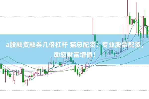 a股融资融券几倍杠杆 猫总配资：专业股票配资，助您财富增值！