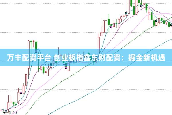 万丰配资平台 创业板指鑫东财配资：掘金新机遇