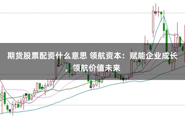 期货股票配资什么意思 领航资本：赋能企业成长，领航价值未来