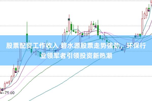 股票配资工作收入 碧水源股票走势强劲，环保行业领军者引领投资新热潮