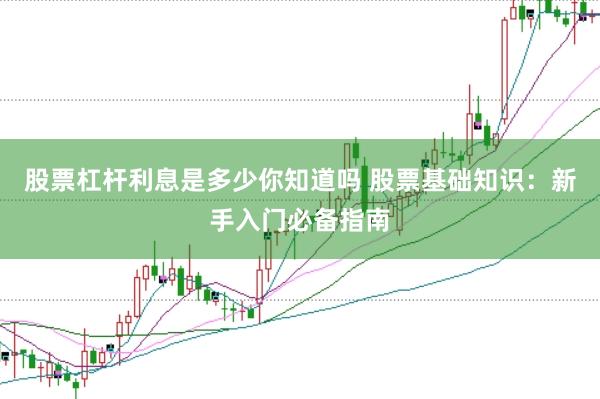 股票杠杆利息是多少你知道吗 股票基础知识：新手入门必备指南