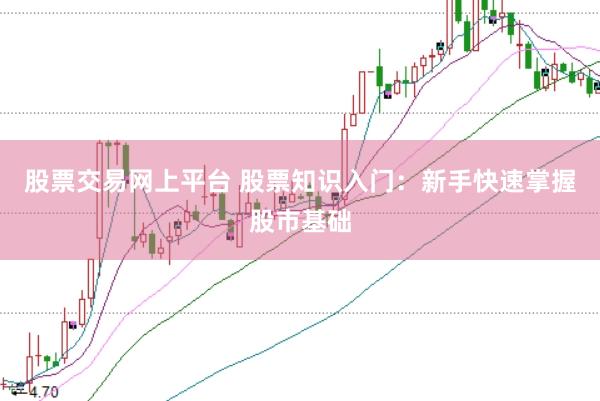 股票交易网上平台 股票知识入门：新手快速掌握股市基础