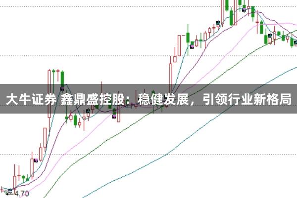 大牛证券 鑫鼎盛控股:稳健发展,引领行业新格局
