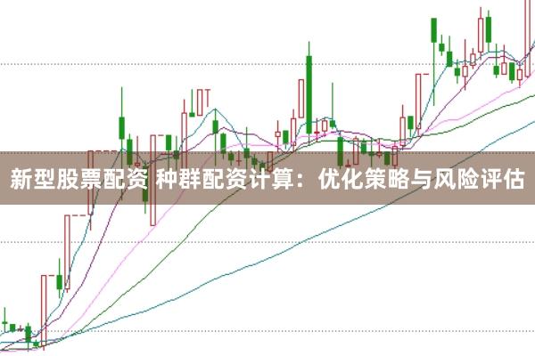 新型股票配资 种群配资计算：优化策略与风险评估