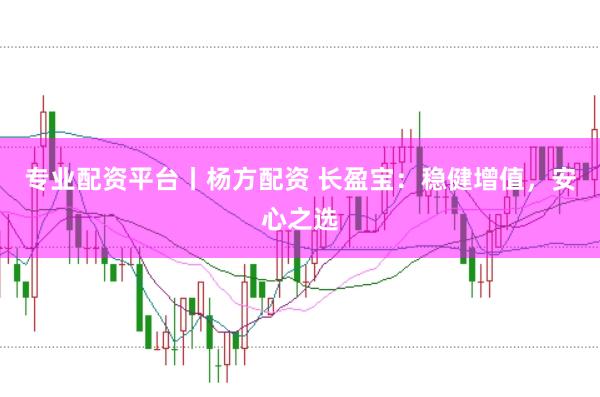 专业配资平台丨杨方配资 长盈宝:稳健增值,安心之选