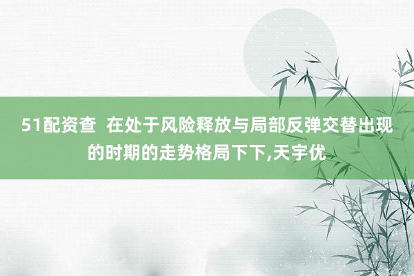 51配资查  在处于风险释放与局部反弹交替出现的时期的走势格局下下，天宇优