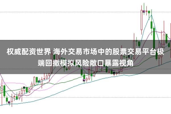 权威配资世界 海外交易市场中的股票交易平台极端回撤模拟风险敞口暴露视角