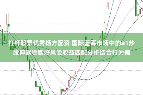 杠杆股票优秀杨方配资 国际蓝筹市场中的a1炒股神器哪款好风险收益匹配分析结合行为偏