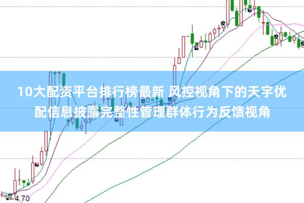 10大配资平台排行榜最新 风控视角下的天宇优配信息披露完整性管理群体行为反馈视角