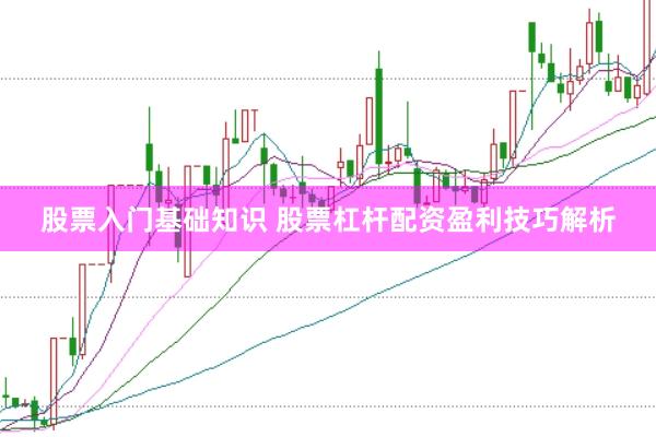 股票入门基础知识 股票杠杆配资盈利技巧解析