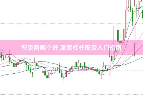 配资网哪个好 股票杠杆配资入门指南